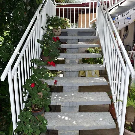 Palm Tree Малинска