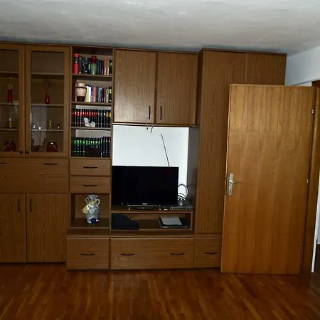 Palm Tree مالينسكا