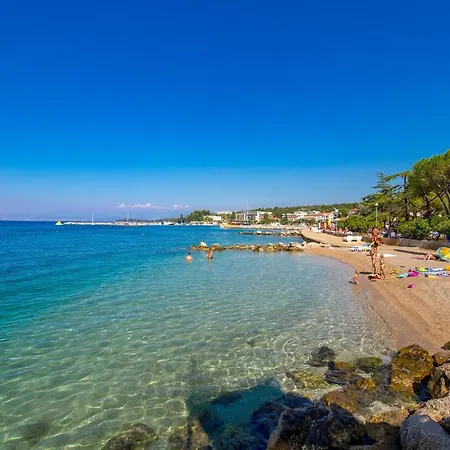 Palm Tree * Malinska