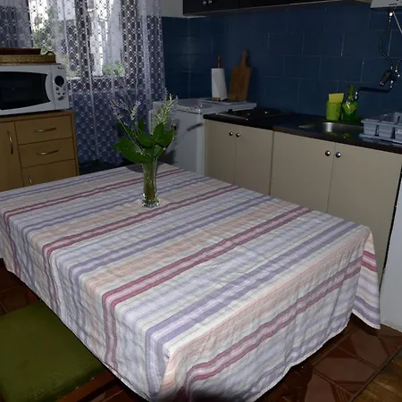 Apartment Palm Tree *
