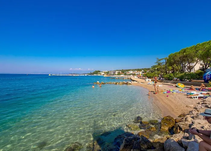 Palm Tree * Malinska