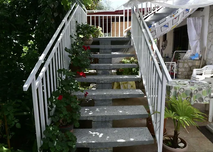 Palm Tree * Malinska