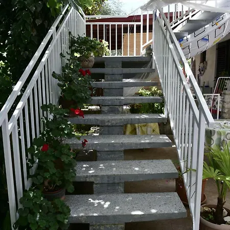 Palm Tree * Malinska