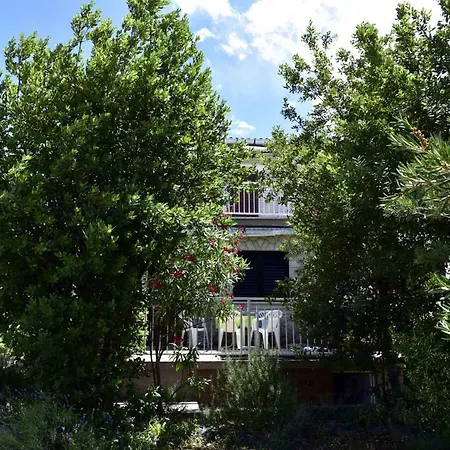 Appartement Palm Tree *