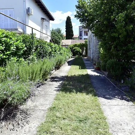 Appartement Palm Tree